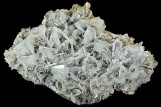 Blue Bladed Barite and Chalcopyrite Association - Morocco #91431
