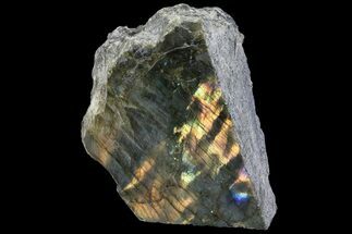 Labradorite For Sale - FossilEra.com