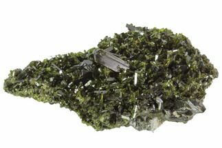 Lustrous 2.2" Epidote Crystal Cluster with Actinolite - Pakistan - Crystal #91991