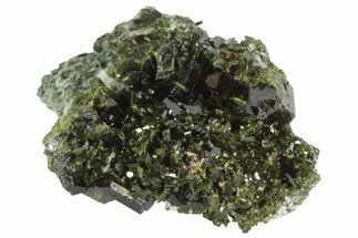 Lustrous 1.7" Epidote Crystal Cluster on Actinolite - Pakistan - Crystal #91958
