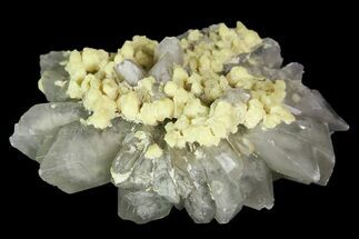 Sulfur Crystals on Selenite - Italy #92617