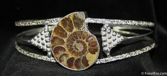 Ammonite Bracelet #1092