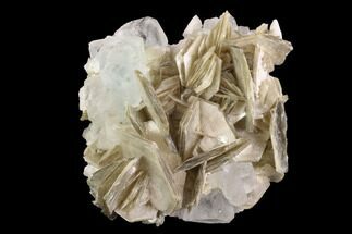 Gemmy Aquamarine Crystals On Muscovite - Pakistan #93518