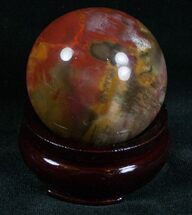 Brilliant Petrified Wood Sphere #6800