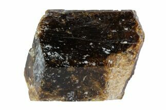 1.11" Brown Dravite Tourmaline Crystal - Western Australia - Crystal #95416