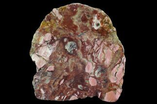 Polished, Brecciated Pink Opal Section - Western Australia #96307