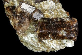 Brown Dravite Tourmaline Crystals in Mica - Western Australia #96310