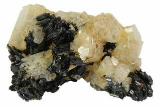 Black Tourmaline (Schorl) & Goshenite Association - Namibia #96577