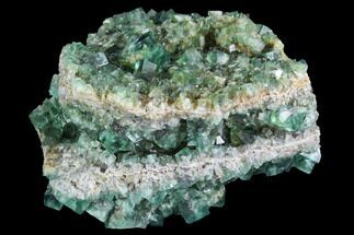 Fluorite Crystal Cluster - Rogerley Mine, UK #99458