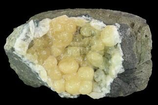 Botryoidal, Yellow Prehnite Crystal Cluster - Connecticut #100176