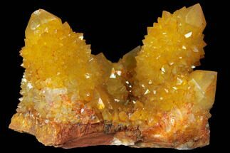 Sunshine Cactus Quartz Crystals - South Africa #98376