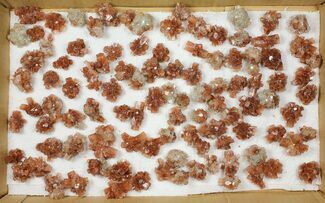 Lot: Twinned Aragonite Clusters - Pieces #103609
