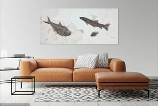 Wide Green River Fossil Fish Mural - Ready to Hang #104583