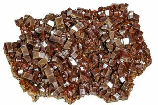 Fantastic, Red Vanadinite Crystal Aggregation - Morocco #104760