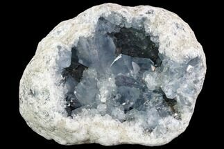 Large, Celestine (Celestite) Geode ( Lbs) - Large Crystals! #104615