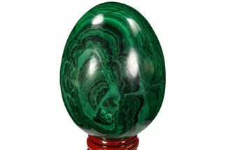 Polished Malachite Egg - Congo #106253