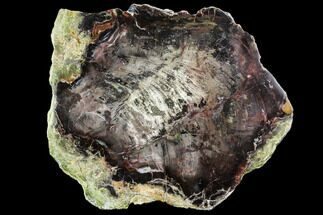 Polished Petrified Colla Wood With Azurite & Malachite - Turkey #106732