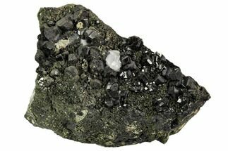 Black Andradite (Melanite) Garnet Cluster with Biotite - Morocco #107913