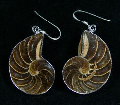Fossil Nautilus Earrings - Sterling Silver #7676