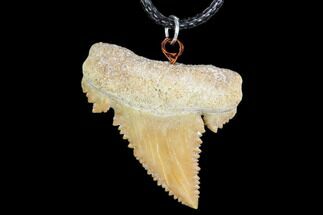 Fossil Shark (Palaeocarcharodon) Tooth Necklace #110008