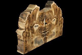 Tall, Petrified Wood Bookends - Oregon #111106