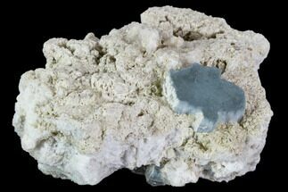 Aquamarine Crystal in Albite Crystal Matrix - Pakistan - Crystal #111359