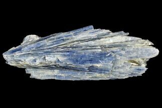 Vibrant Blue Kyanite Crystals - Brazil #113480