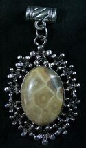 Fossil Coral Pendant - Million Years Old #8065