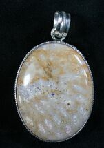 Large Fossil Coral Pendant #8069