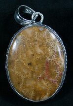 Large Indonesian Fossil Coral Pendant #8261