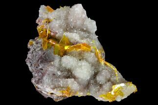Orange Wulfenite Crystals on Quartz - Red Cloud Mine, Arizona #118964
