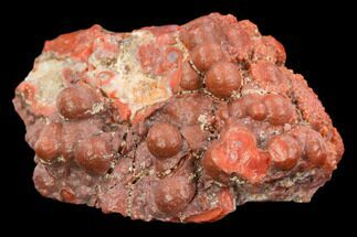 Chalcedony For Sale - FossilEra.com