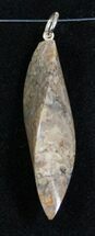 Agatized Dinosaur Bone Twist Pendant #8542