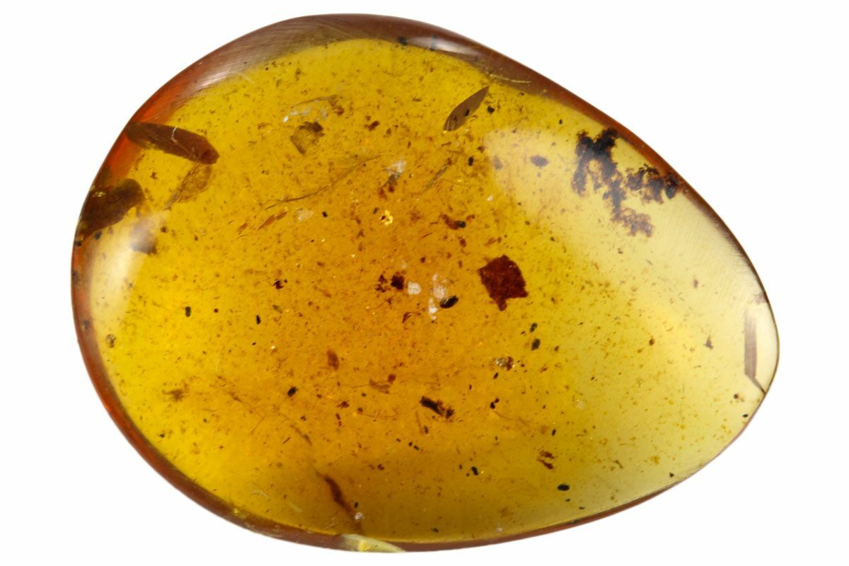 3.89mm Fossil Feather In Amber - Myanmar For Sale (#122939) - FossilEra.com