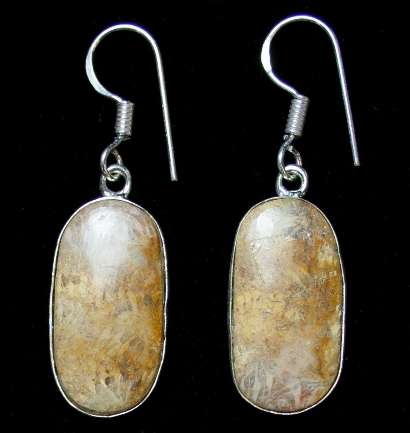 Beautiful Fossil Coral Sunburst Earrings (#8610) For Sale - FossilEra.com