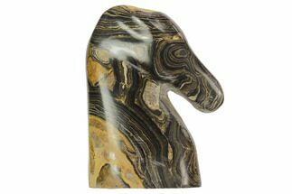 Polished Stromatolite (Greysonia) Horse - Bolivia #126359