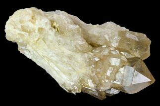 Citrine Quartz Crystal Cluster - Lwena, Congo #128416