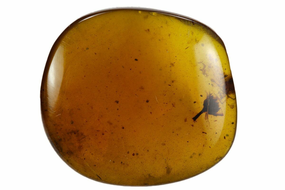 Cretaceous Fossil Flower in Amber - Myanmar For Sale (#128947 ...