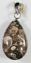 Fossil Turritella (Gastropod) Pendant - Wyoming #9075
