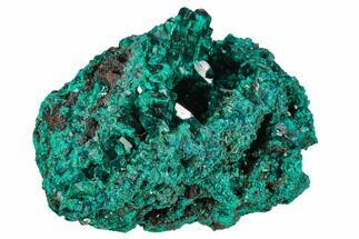 Gemmy Dioptase Crystal Cluster - Congo #129549