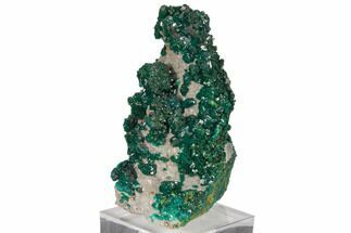 3.6" Gemmy Dioptase and Mimetite on Dolomite - Ntola Mine, Congo - Crystal #130502