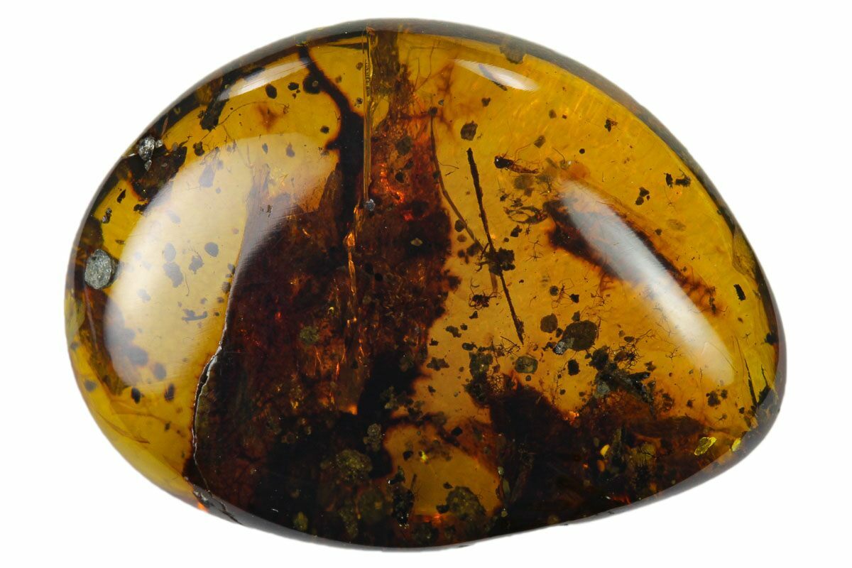 Cretaceous Fossil Reptile Skin and Insects in Amber - Myanmar For Sale ...