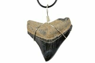 Fossil Megalodon Tooth Necklace - Serrated Blade #130950