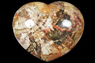 Large, Polished, Triassic Petrified Wood Heart - Madagascar #133617