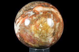 Large, Colorful Petrified Wood Sphere - Madagascar #133678