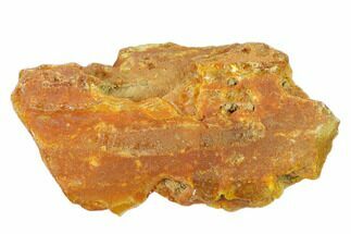 Rough Colombian Copal (Young Amber) #135237