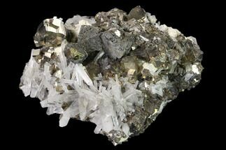 Cubic Pyrite, Chalcopyrite and Quartz Crystal Association - Peru #136198