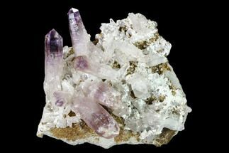 2.1" Amethyst Crystal Cluster - Las Vigas, Mexico - Crystal #136998