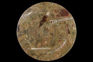 Fossil Orthoceras & Goniatite Round Plate - Stoneware #140069