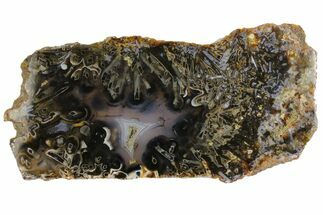 6.9" Polished Turkish Stick Agate Slab - Turkey - Crystal #141188